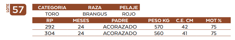 Lote LOTE 57