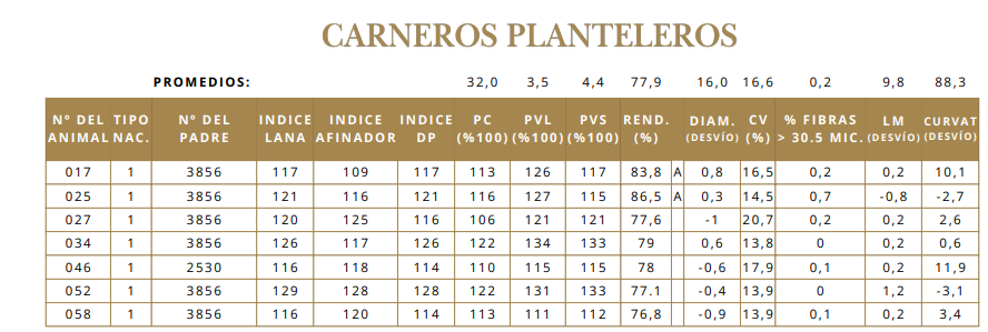 Lote Carneros Planteleros
