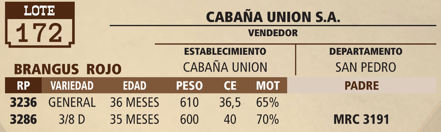 Lote LOTE 172 - PANTALLA