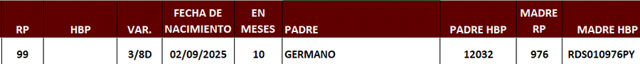 Lote LOTE 7