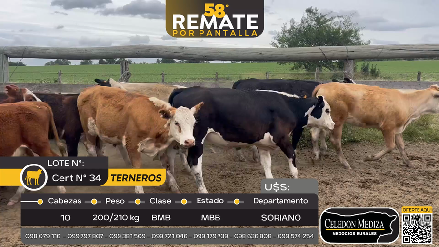 Lote 10 Terneros y Terneras en Ruta 57, Soriano