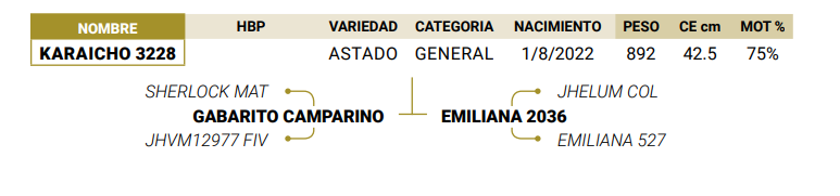 Lote LOTE 6