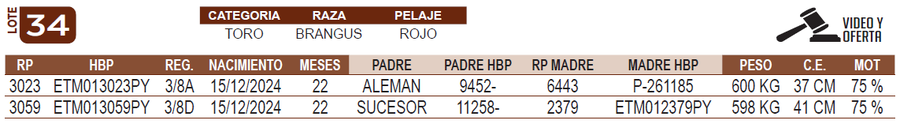 Lote LOTE 34