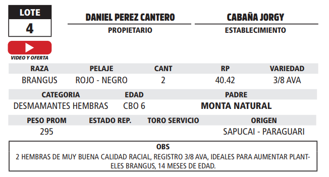 Lote LOTE 4 - EN VIVO