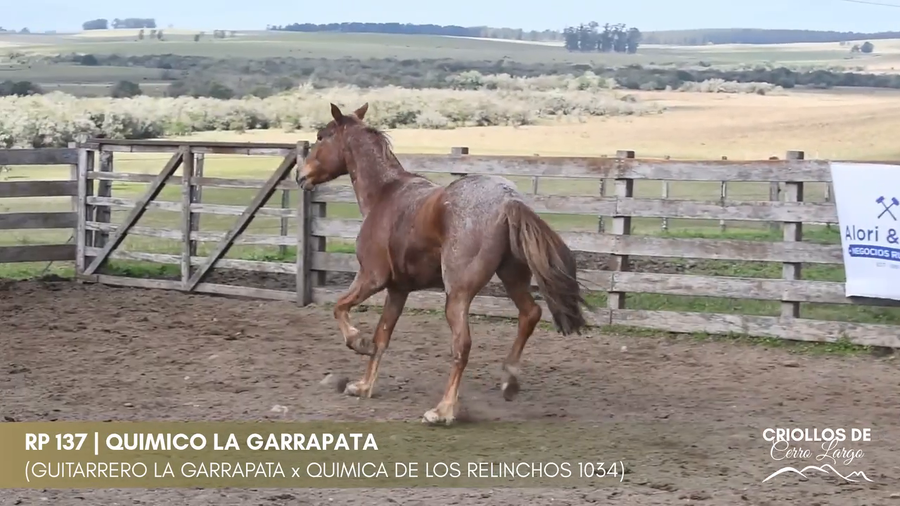 Lote QUIMICO LA GARRAPATA