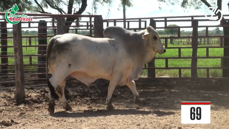 Lote Brahman