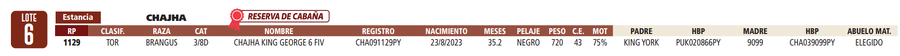 Lote LOTE 6- RESERVA DE CABAÑA