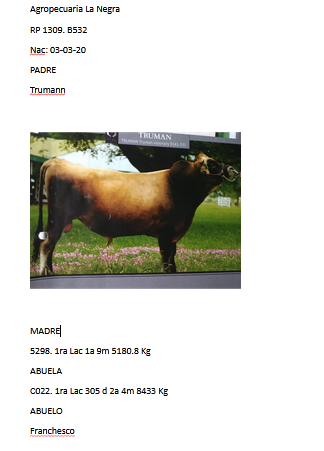 Lote Toros - Establecimiento La Negra