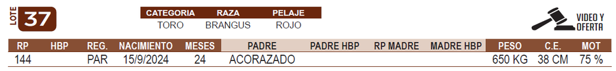 Lote LOTE 37