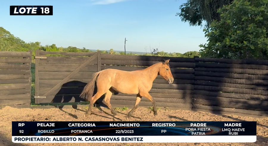 Lote LOTE 18 - DE CAMPO