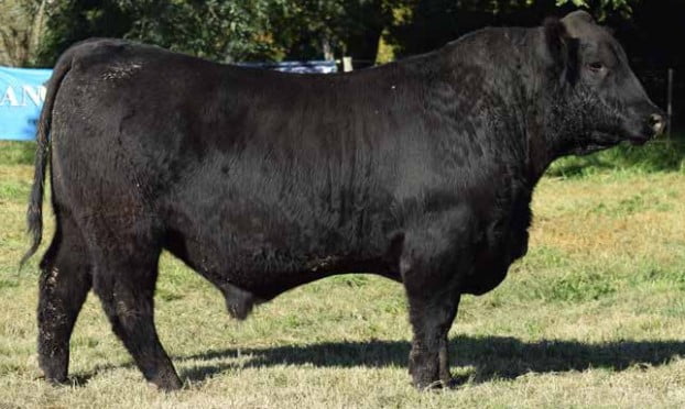 Lote CABAÑA "COEMBOTA" DE CALDERÓN RP 589 T/E