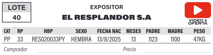 Lote LOTE 40