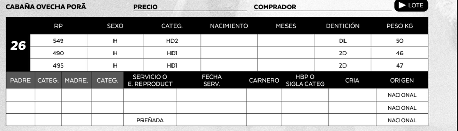 Lote LOTE 26