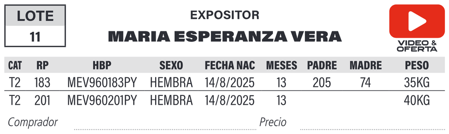 Lote LOTE 11