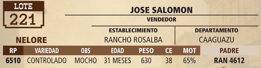 Lote LOTE 221 - VIVO