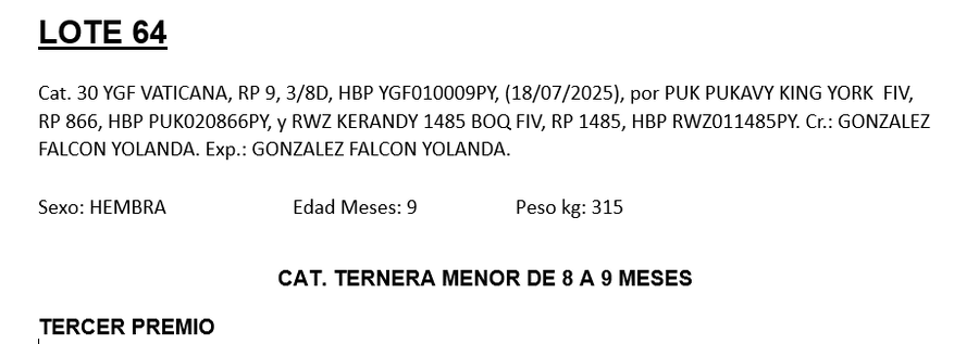 Lote LOTE 64