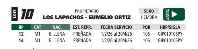 Lote LOTE 10