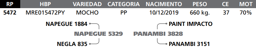 Lote LOTE  81-RP 5472