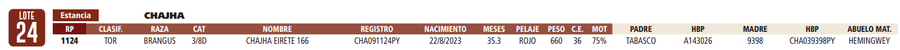 Lote LOTE 24