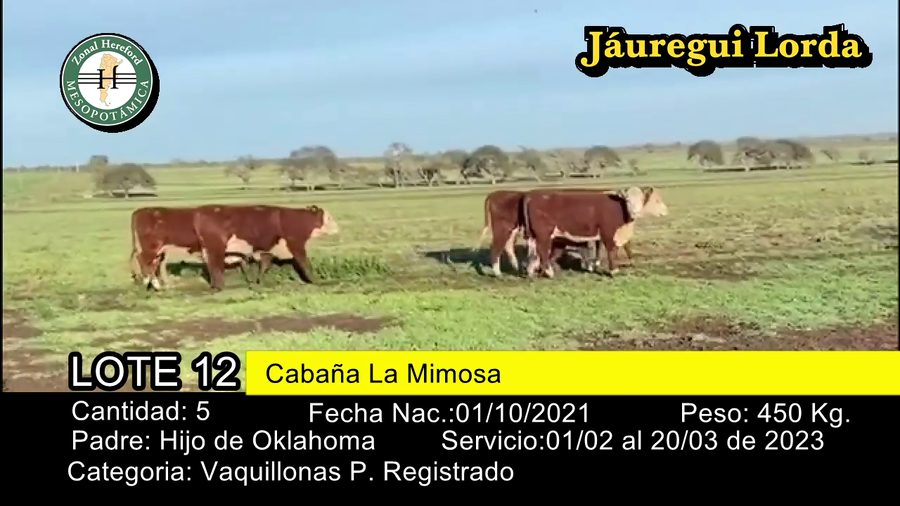 Lote VAQUILLONAS P. REGISTRADO