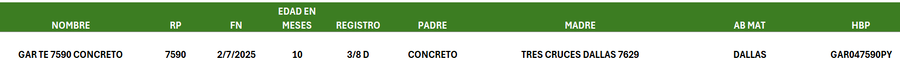 Lote LOTE 29