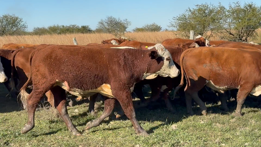 Lote 120 Mej Pesado en Corrientes, Mercedes