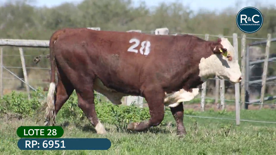 Lote Toros señal 22