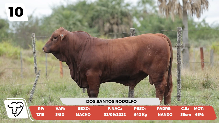 Lote LOTE 10