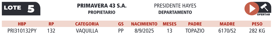 Lote LOTE 5