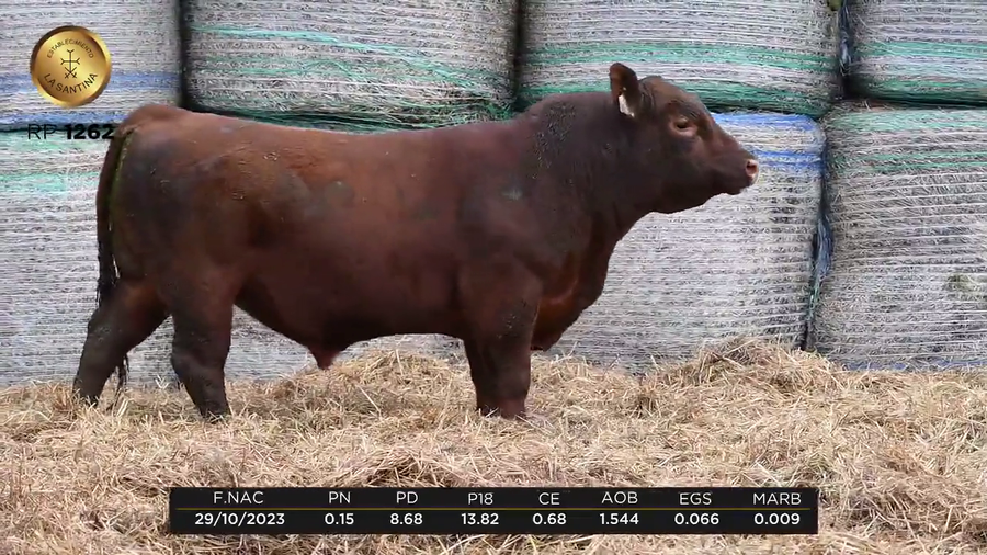 Lote LA SANTINA TILICO 590-1262