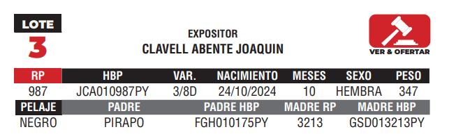 Lote LOTE 3 - JUNIOR