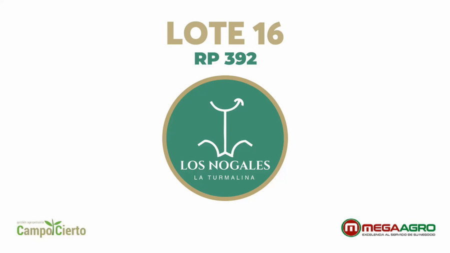 Lote LOS NOGALES