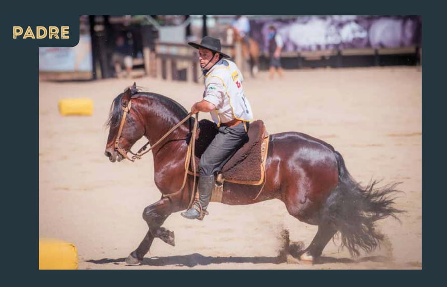 Lote PEÑAROL DA BOA VISTA X RAFAELA DEL CHAMAME