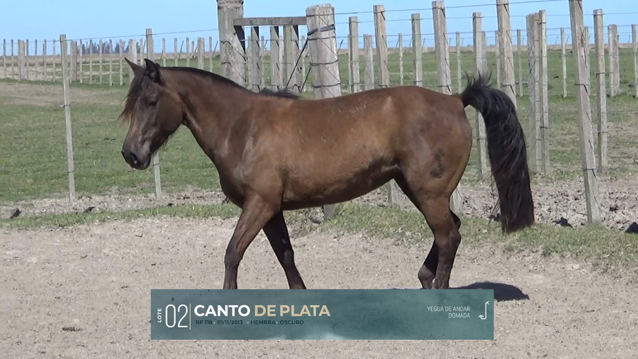 Lote Yeguarizos a remate en Criollos, Montevideo