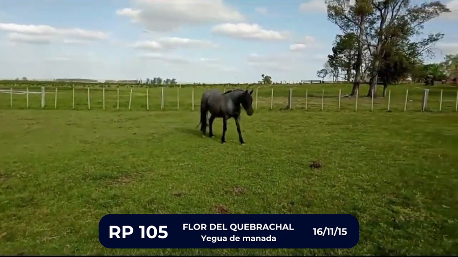 Lote FLOR DEL QUEBRACHAL