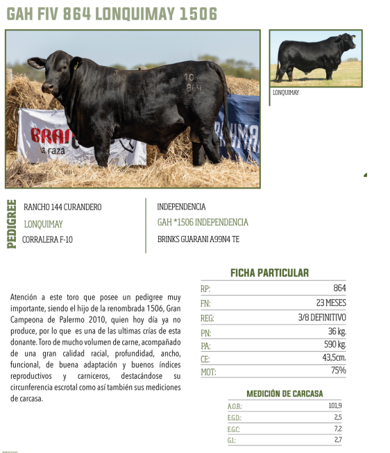 Lote LOTE 36
