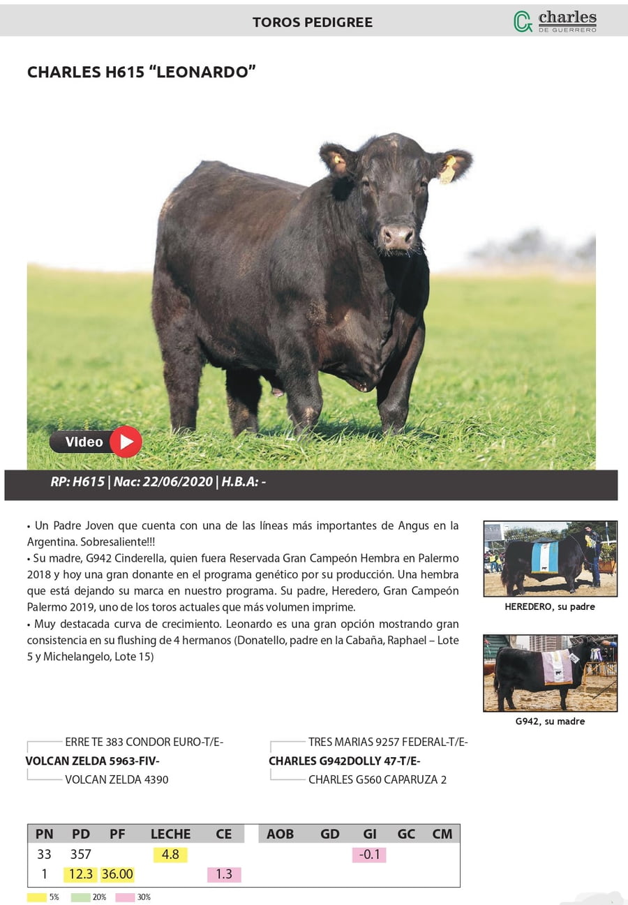 Lote TOROS PEDIGREE