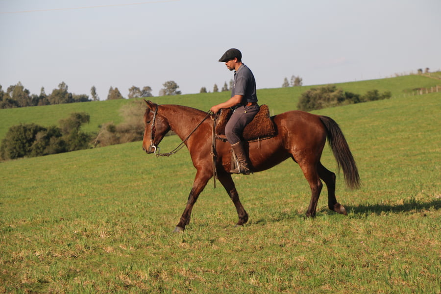 Lote ESCONDIDA DEL CONVENTOS