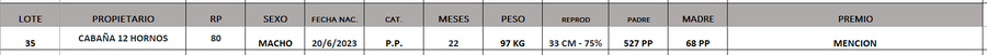Lote LOTE 35