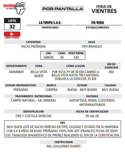 Lote LOTE 32 - POR PANTALLA