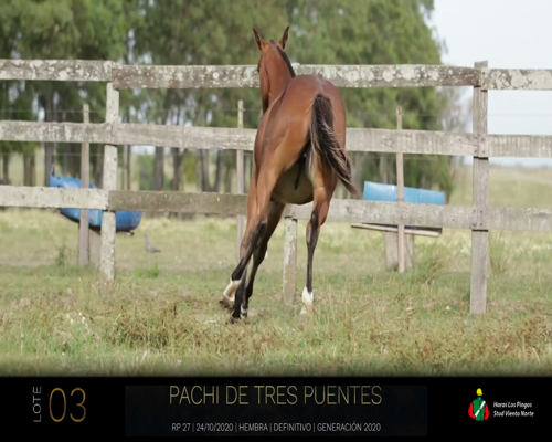 Lote PACHI DE TRES PUENTES