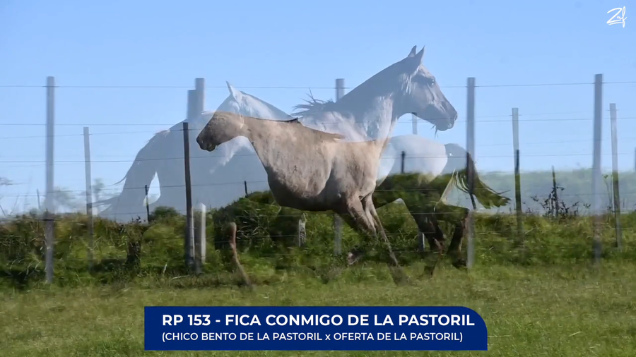 Lote Fica Conmigo de La Pastoril