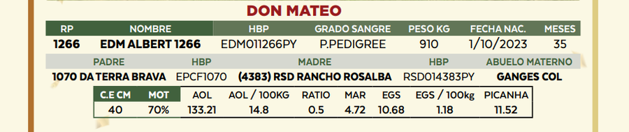 Lote LOTE 26