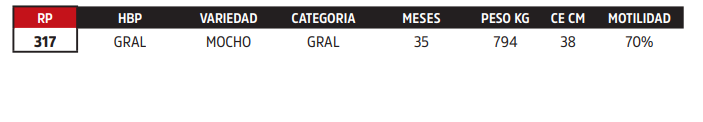 Lote LOTE 16