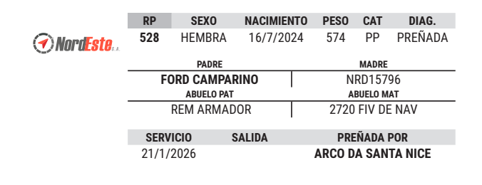 Lote LOTE 8