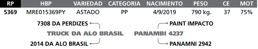 Lote LOTE  1 -RP 5369