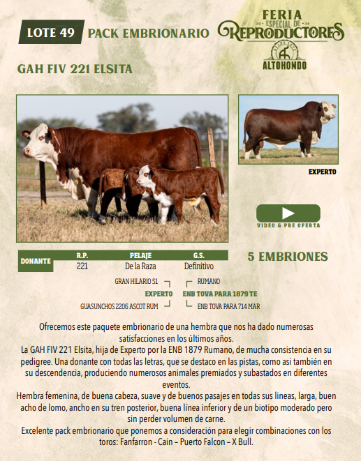Lote LOTE 49