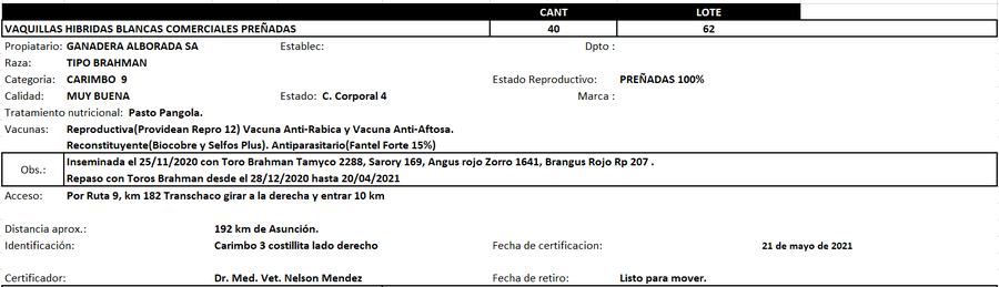 Lote Reproductores de Alborada - Lote 62