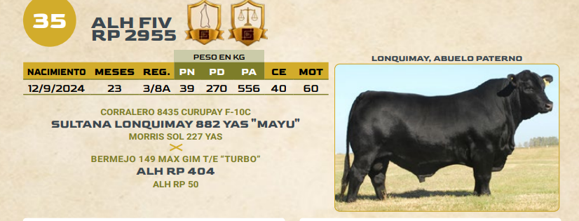 Lote LOTE 35