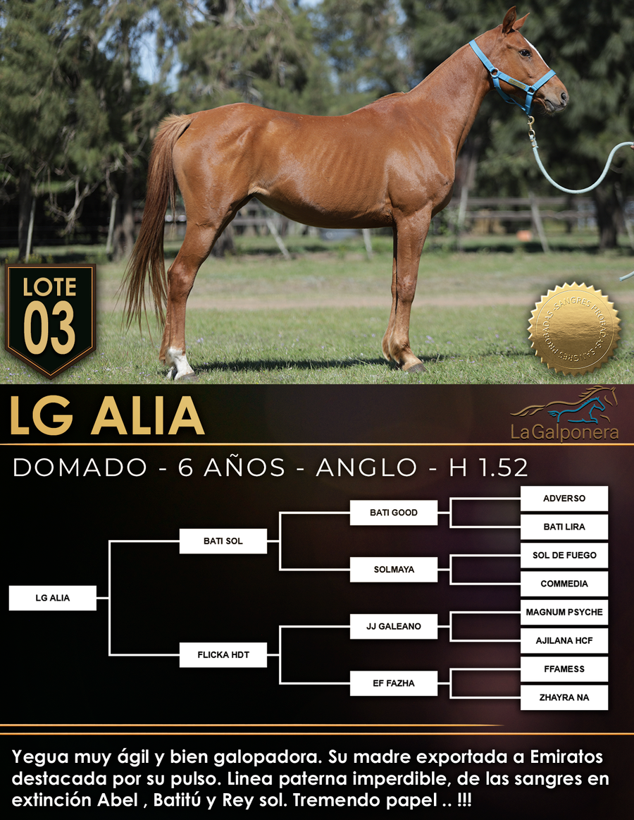 Lote LG ALIA